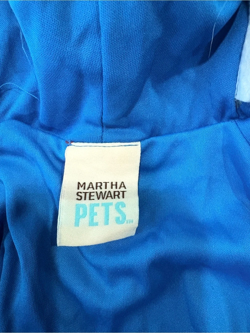 Martha Stewart Dragon & Fish Small Pet Costumes